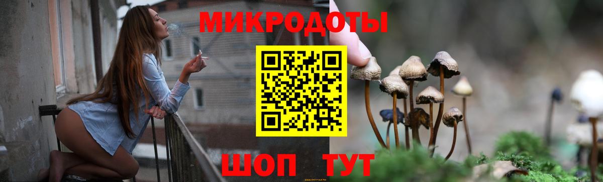 Нижневартовск  Галлюциногенные грибы Psilocybe  Вход с VPN 